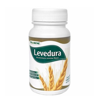 Levedura De Cerveja 500mg 400 Comprimidos - Probene em Oferta na Shopee
