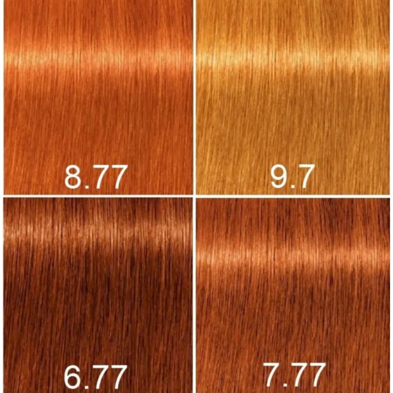 Coloração Ruivo Igora Royal Tinta Cobre 6.77 Schwarzkopf Professionals