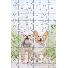 Jogo da memória Cognitivo para Idosos + 4 Quebra-cabeças Cachorros