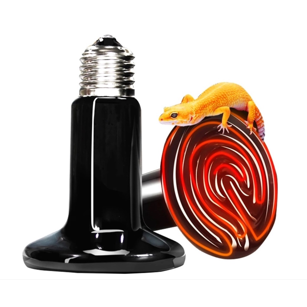 Lâmpada Cerâmica Aquecedor 110v 220v G Repteis E Aves
