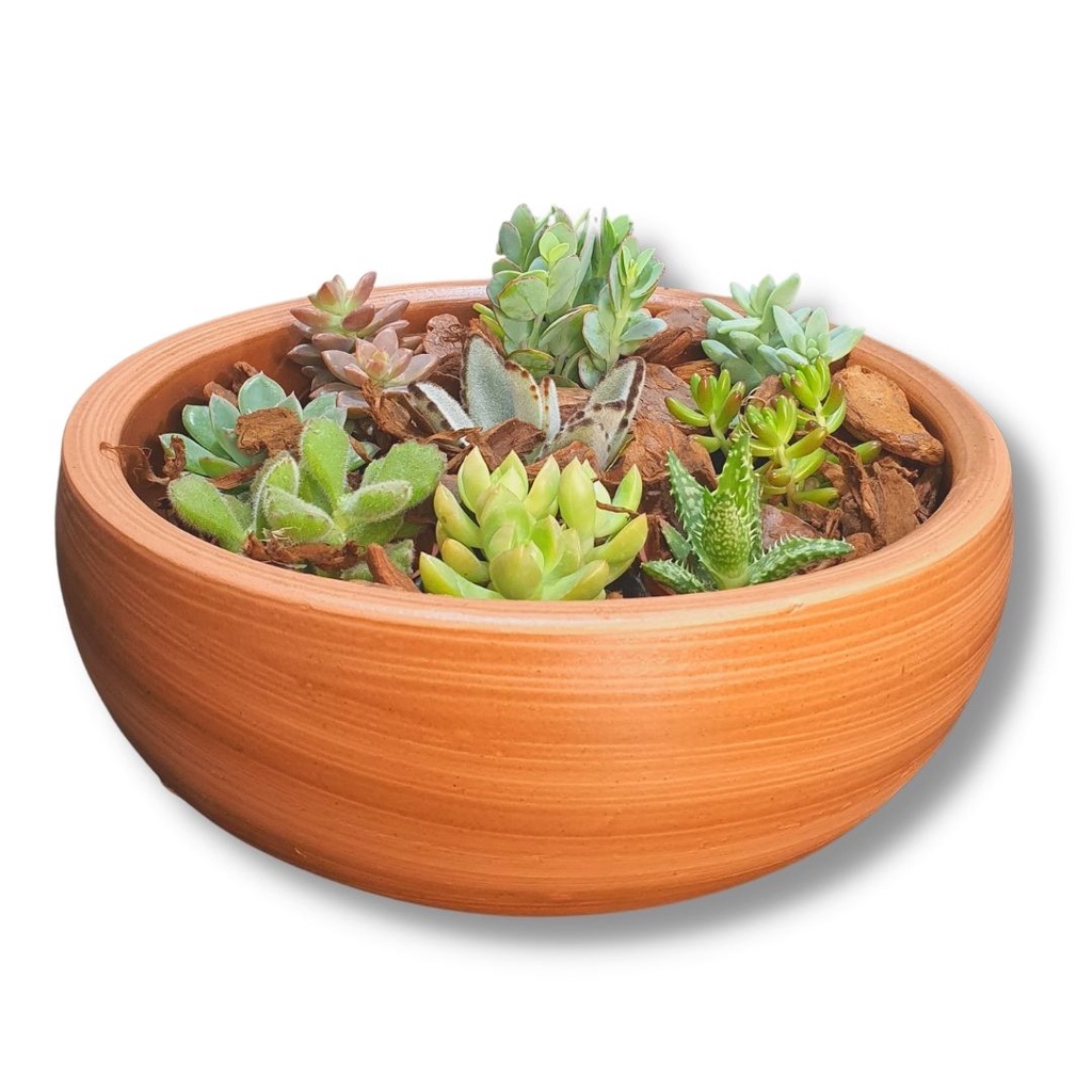 Vaso de Cerâmica Arranjos de Cactos e Suculentas 33cm Tabaco