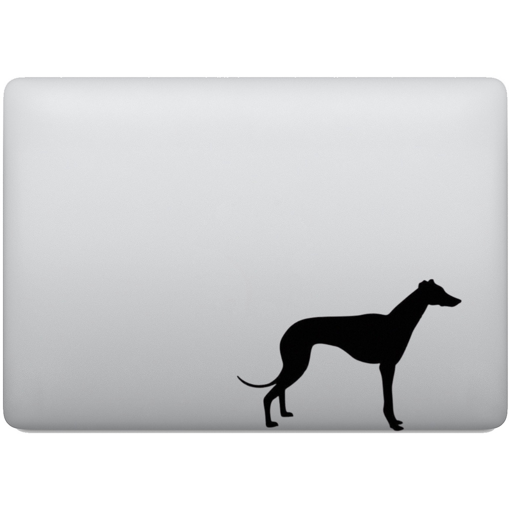 Adesivo de Notebook Cachorro Raça Whippet