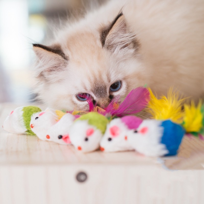3PCS/10PCS Brinquedo de Rato de Pelúcia com Pena para Gatos / Brinquedo de Gato