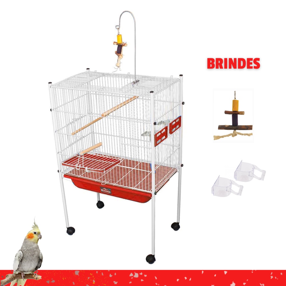 Viveiro Calopsita Mansa Cocota Agapornis Aves Bragança Calopsita Plus Comedouros Brinquedos