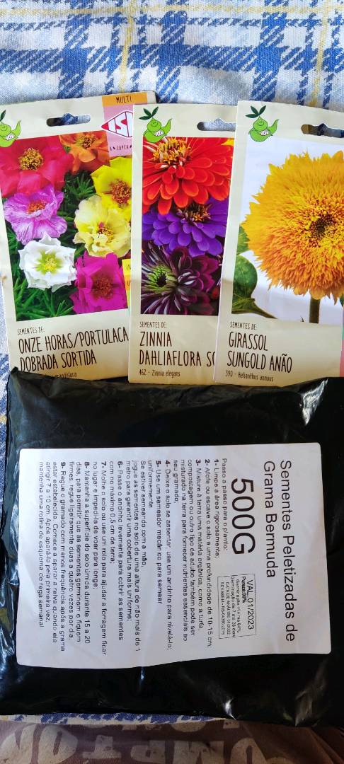 Sementes de Zinia Dobrada Dahlialora Flor de Dália Sortida - 1 envelope com  35 unidades | Shopee Brasil
