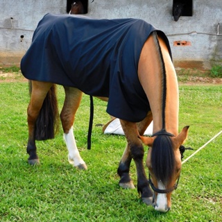 Capa Cavalo Chuva Térmica Inverno Impermeável Com Regulagem Proteção Pelo Cavalo em Oferta na Shopee