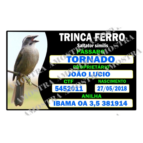 Placa identificação personalizada resina para gaiola de pássaros todas espécies trinca, coleiro, azulão, curió, bico pimenta, canário da terra e belga, galo de campina, sofrê, tiziu, baiano, breja, clopsita, pintassilgo, sabiá, tico tico  e outros.
