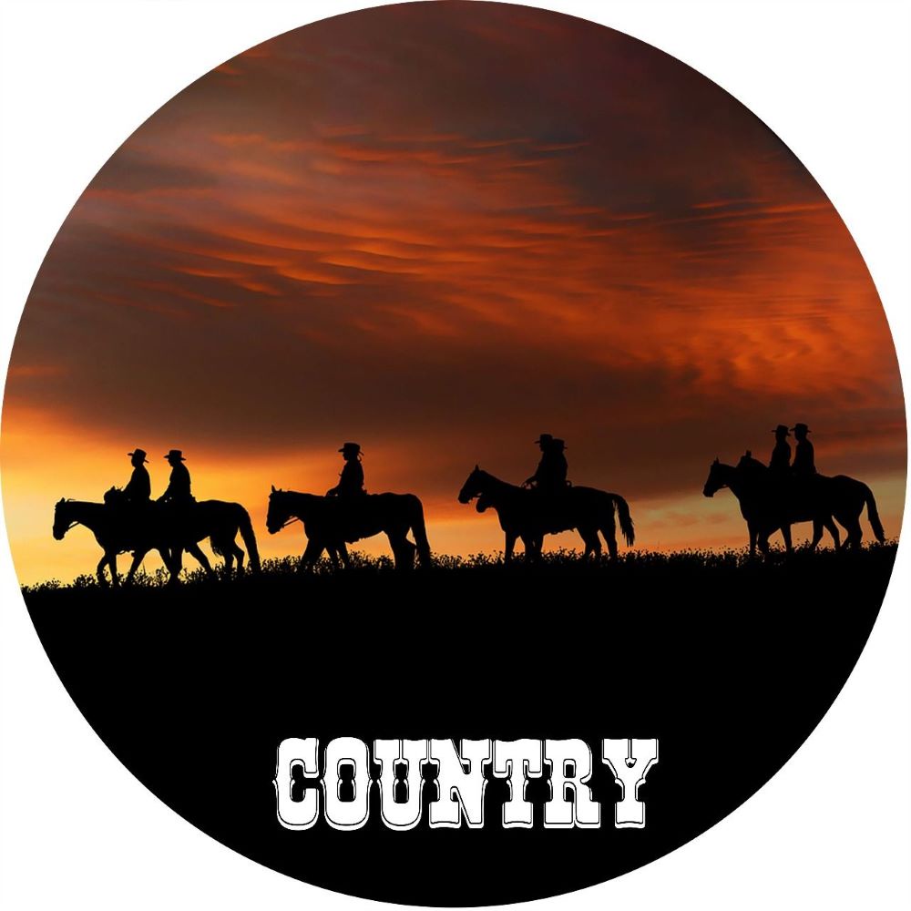 Capa de Estepe para Ecosport Crossfox Country Cowboy Lorben