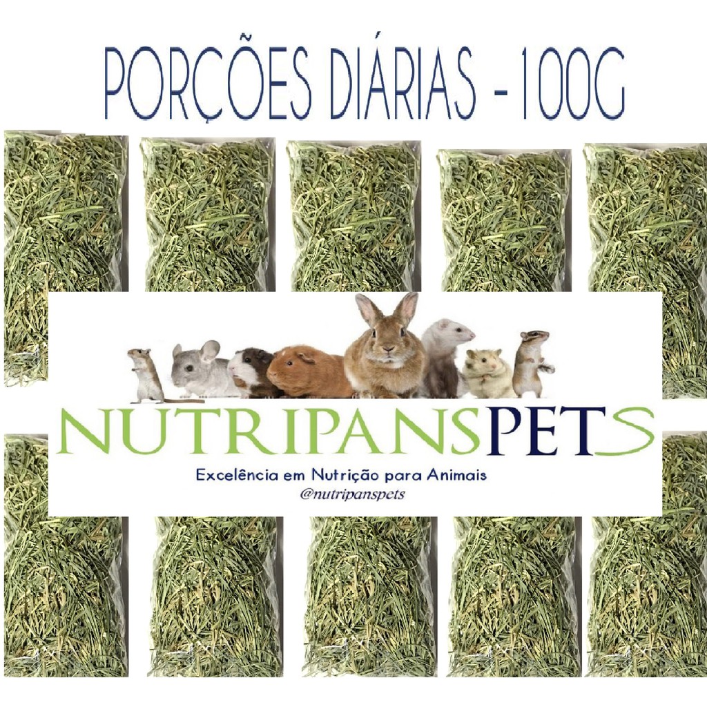 Feno Premium Fibra Alimentar - Porção Diária Kit 10 x 100g In Natura