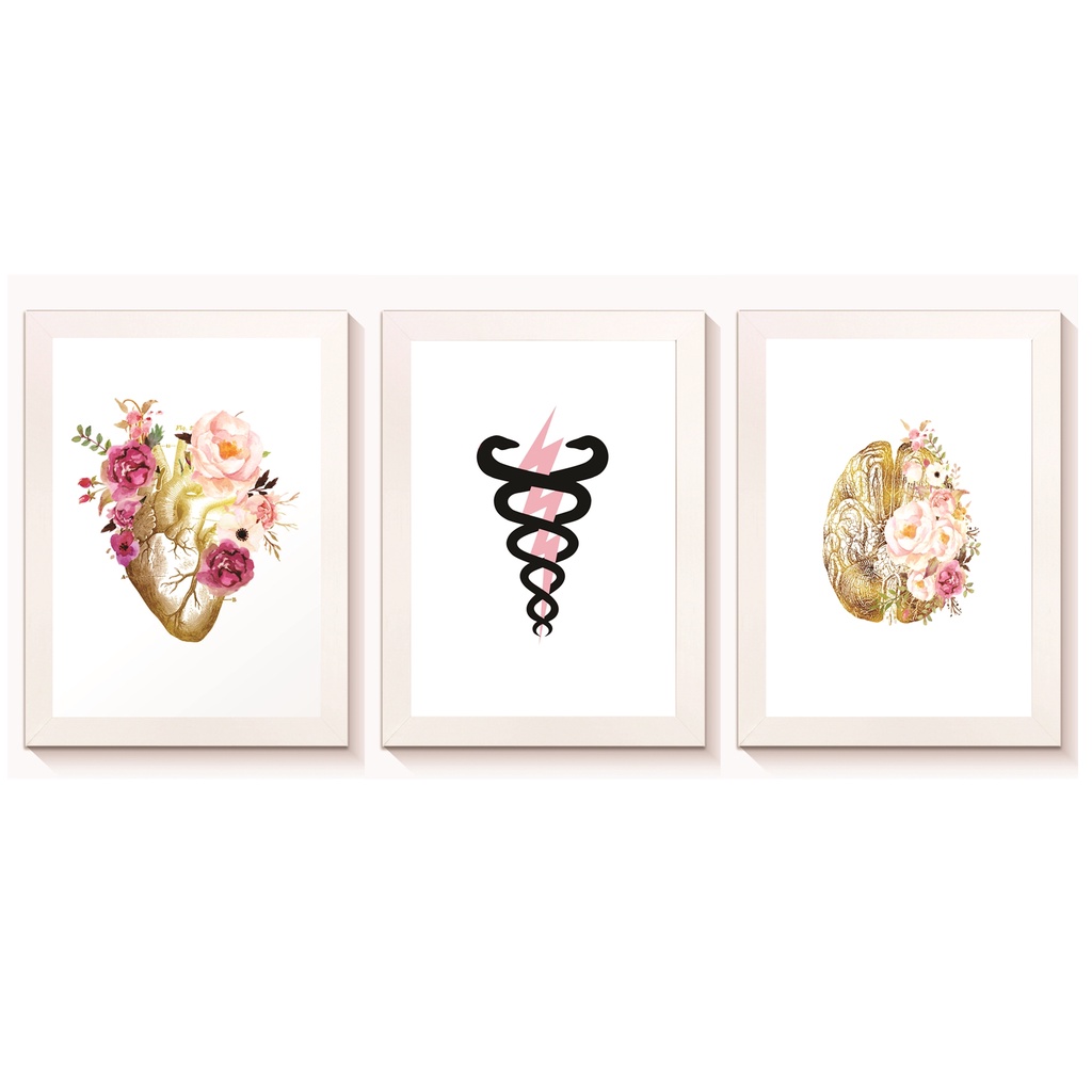 Kit 3 quadros Decorativos Coração Cérebro Consultório Clínica Cardiologia Neurologia Medicina Molduras 20x30cm Madeira