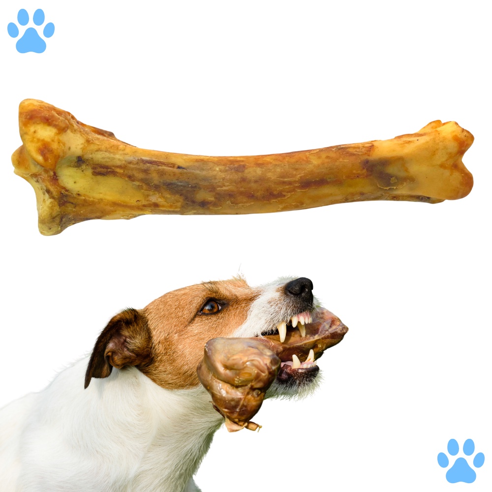 Osso para Cachorro Natural Defumado Petisco para Cães - Tíbia Bovina
