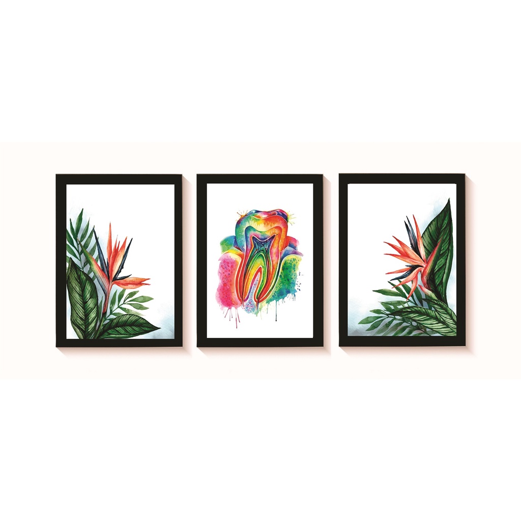 Kit 3 Quadros Decorativos Dente Aquarela Decoração Consultório Odontologico Moldura 20x30cm Madeira