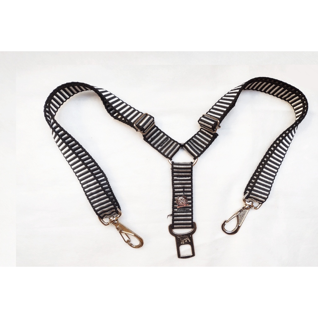 Produtos Essenciais para Pets: Onde Comprar | BuscaProdutos