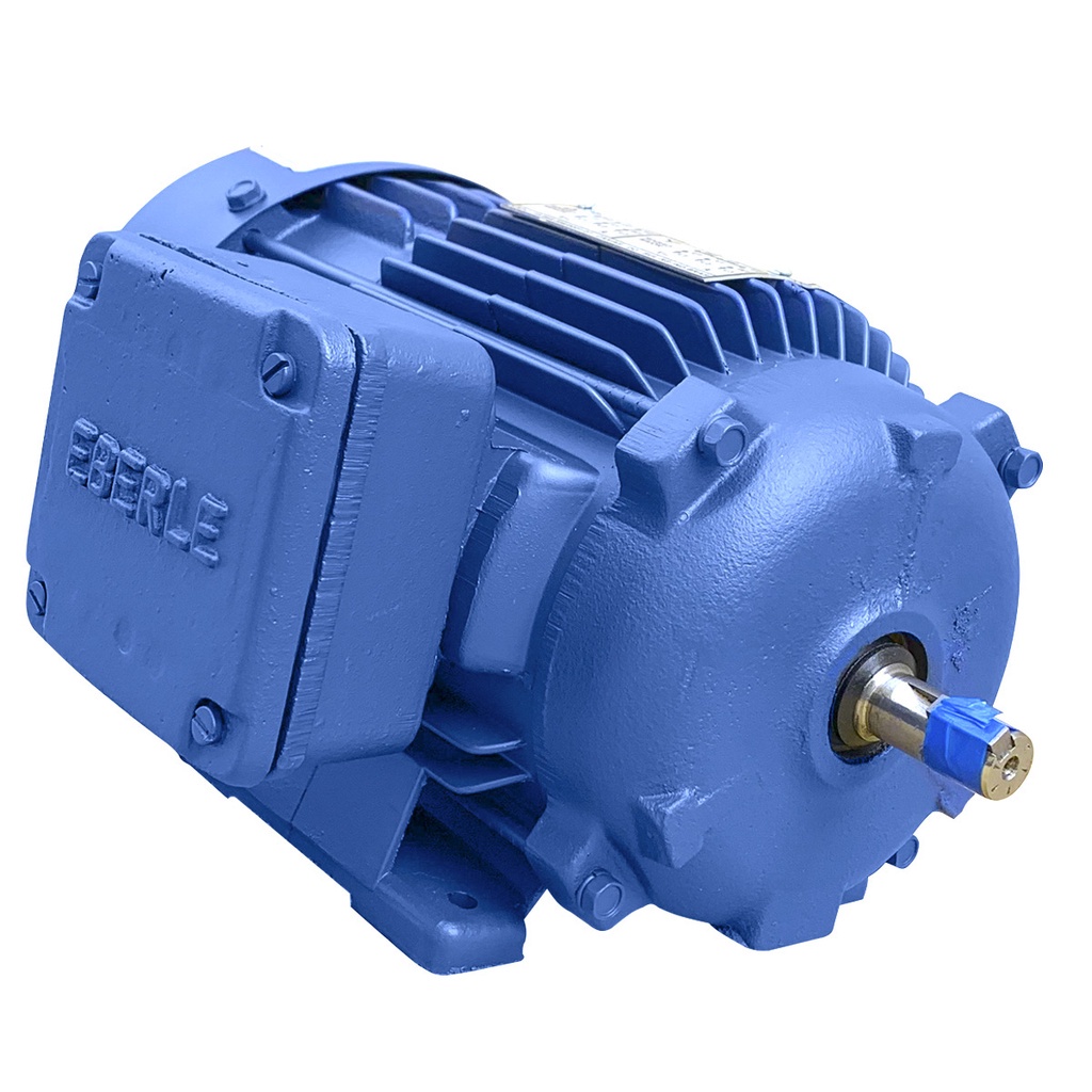 Motor Elétrico Trifásico 0,75cv 4 Polos 3/4cv Cavalos Baixa Rotação 3/4 Hp Eberle Mercosul