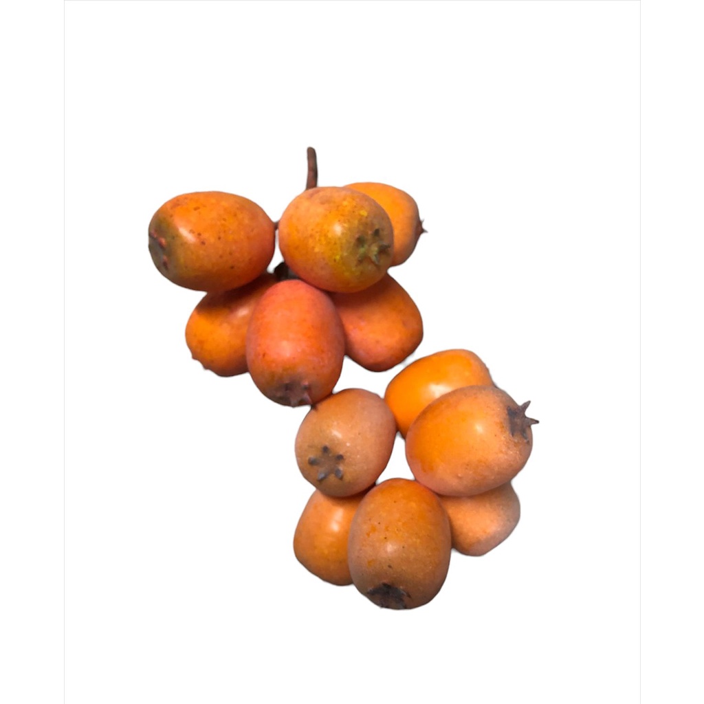 Fruta artificial Ameixa falsa tamanho real