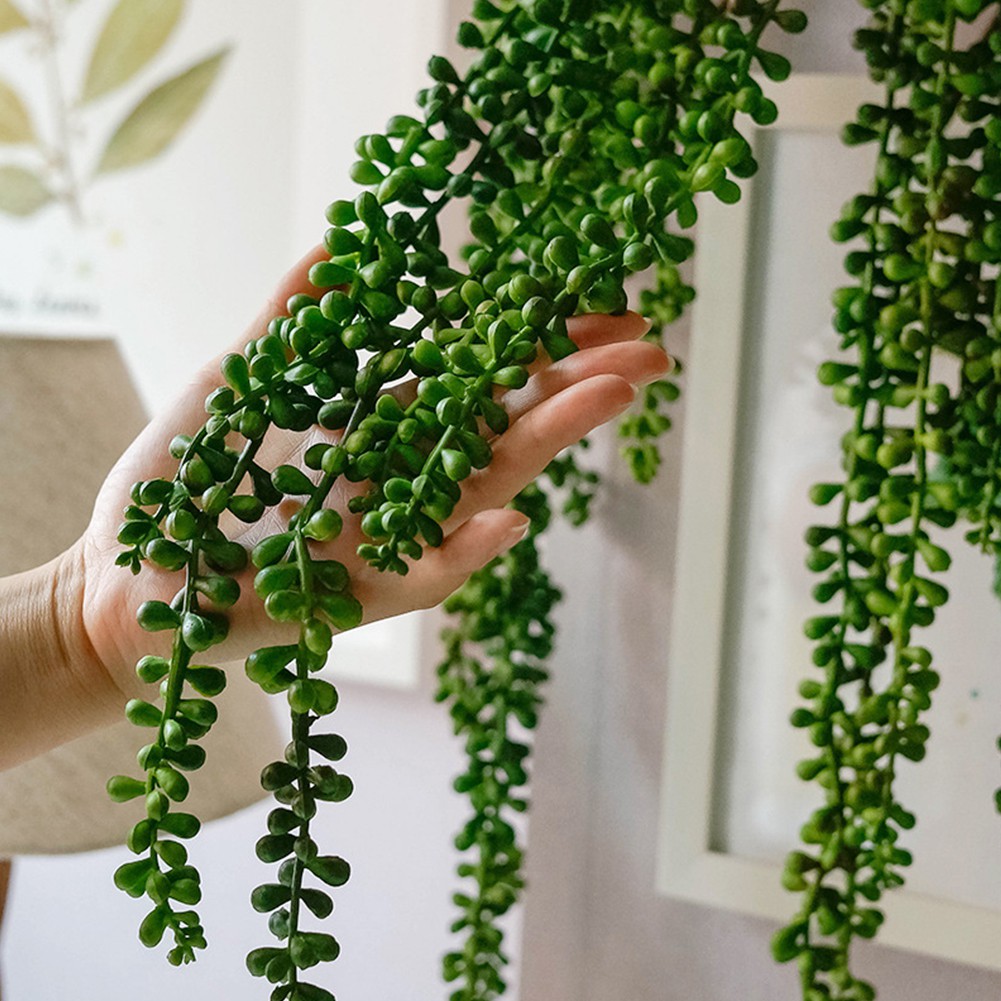 Planta artificial pendente suculenta dedo de moça 40 cm para compor vasos,  arranjos e decorar a sua casa / casamento/ noivado/ noiva/ pré wedding |  Shopee Brasil