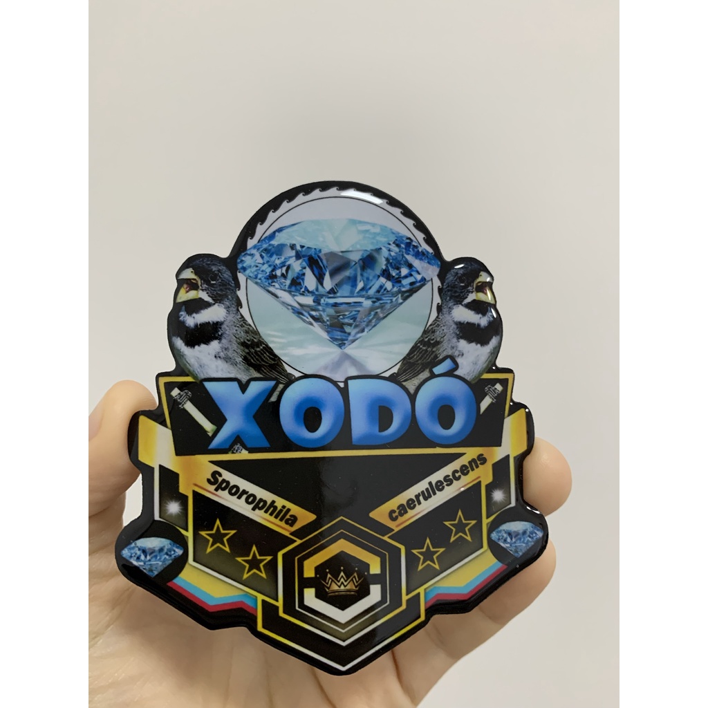 Placa personalizada para gaiola de pássaro; xodó, placa para coleiro, placa de trinca ferro, placa de azulão, placa de curió, placa de tiziu, placa para galo de campina, placa para caboclinho, placa para sibite, placa para todas espécies de pássaros