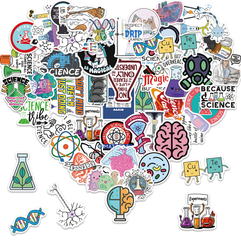 Autocolantes Engraçados para Carros: Onde Comprar | BuscaProdutos