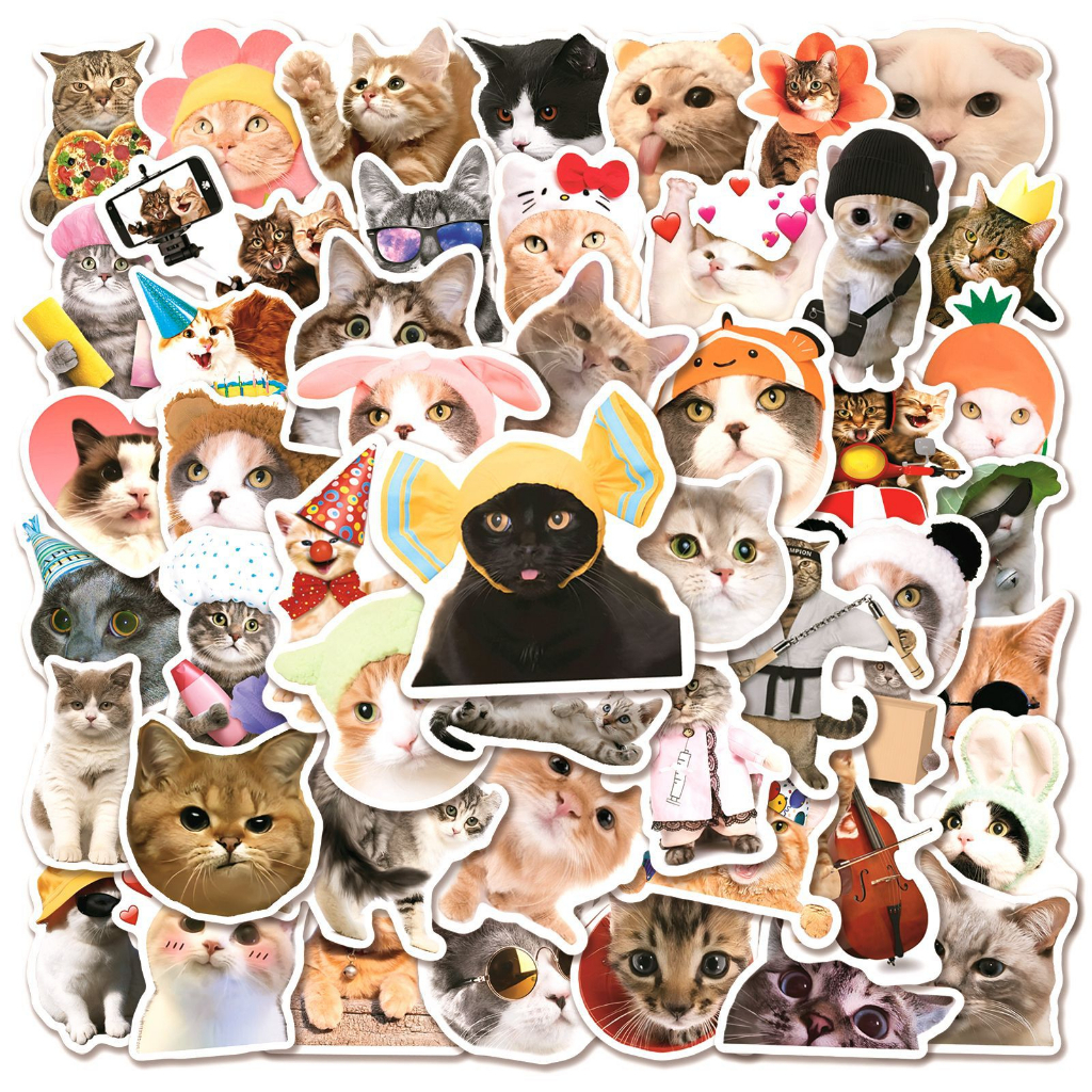50PCS Adesivos Engraçados E Realistas Para Gatos Bonitos Capacete De Laptop Decalque Da Caixa Do Telefone