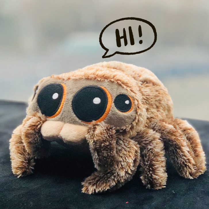 Jumping Spider: Guia Completo e Onde Comprar | BuscaProdutos