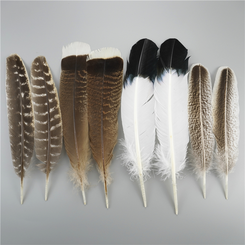 10Pcs/Lot Penas De Águia Natural Para Artesanato Pluma Cabeleireiro Acessórios Decoração De Férias Carnaval Artesanal De Bricolage em Oferta na Shopee