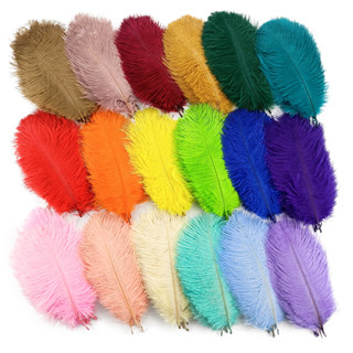 10Pcs Penas De Avestruz Coloridas Para Artesanato Decoração De Casamento Acessórios De Peças De Centro De Mesa 10-15cm Plumas De Carnaval