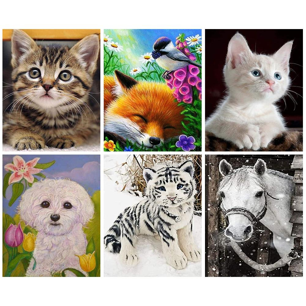 Ponto Cruz Animal: Onde Comprar | BuscaProdutos