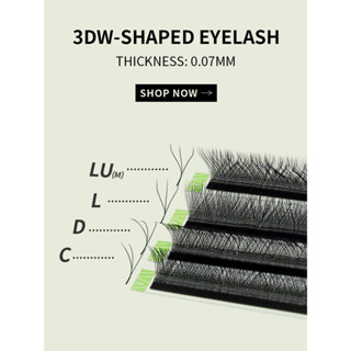 GLAMLASH 0.07mm L/LU (M) Extensão De Cílios 3D W Falsos Ventiladores De Volume Pré-Fabricados Naturais Macios
