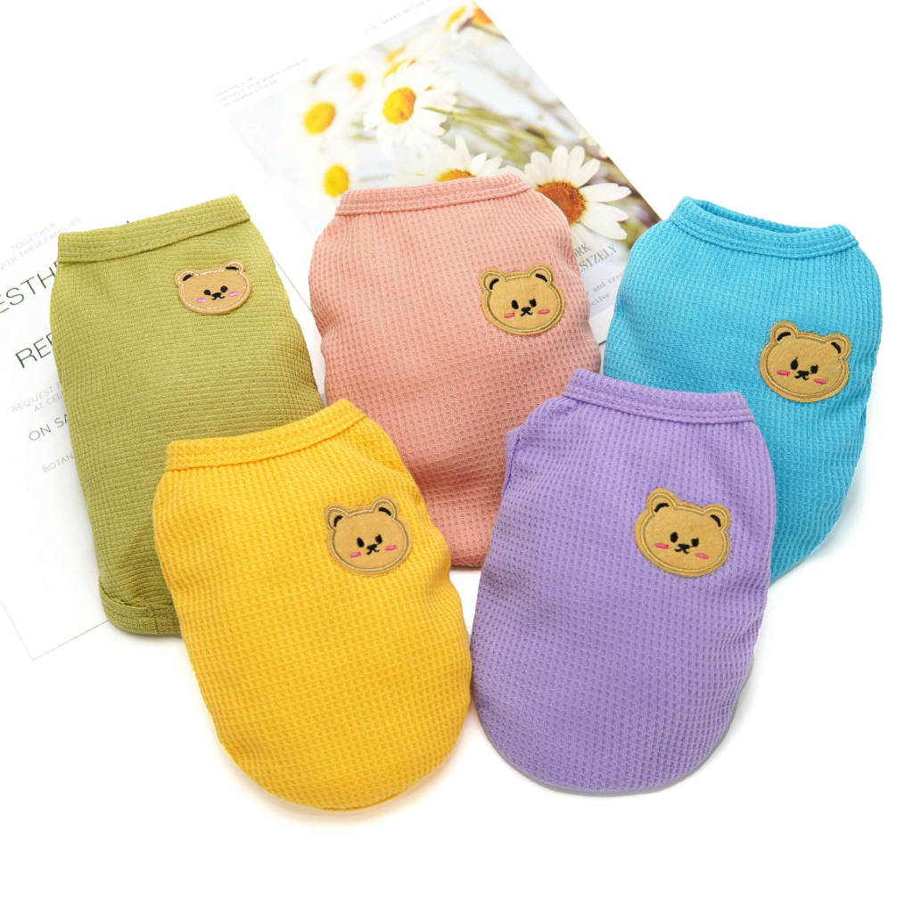 Shih Tzu Femea: Guia Completo e Onde Comprar | BuscaProdutos