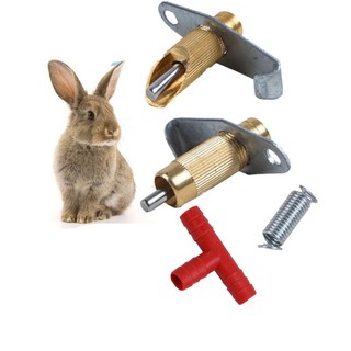 5 Conjuntos/1 Conjunto Coelho Automático Bocal De Água Potável Boca Redonda/Semicírculo Com De Conector T
