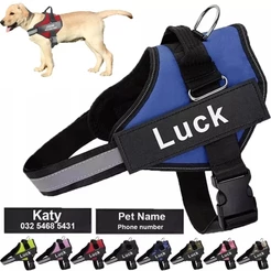 Arreios Personalizados Para Cães Sem PULL Colete Refletivo Respirável Pequenos E Grandes Acessórios Treinamento De Caminhada Ao Ar Livre