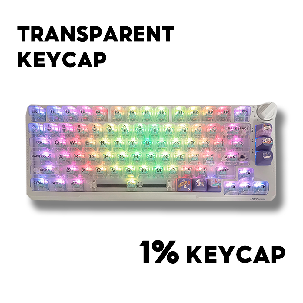 Placa De Suporte De Teclas Altamente Transparente CBSA , Sem Posição Óssea , Ângulo De Vaca , Inserção - Computers & Accessories
