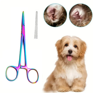 5 polegadas Pinças de orelha pet, grampos de depilação de orelha de  Cachorro gato profissional de aço inoxidável , grampos hemostáticos