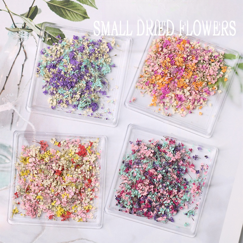 Yalayee Acessórios de Manicure Japanese Estilo Misturado com Pequenas Flores Secas para Ma...
