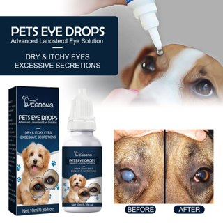 Em Estoque 10ml Colírios Para Animais De Estimação Cães E Gatos Solução Lanosterol Melhora A Saúde Secura Cuidados De Li em Oferta na Shopee