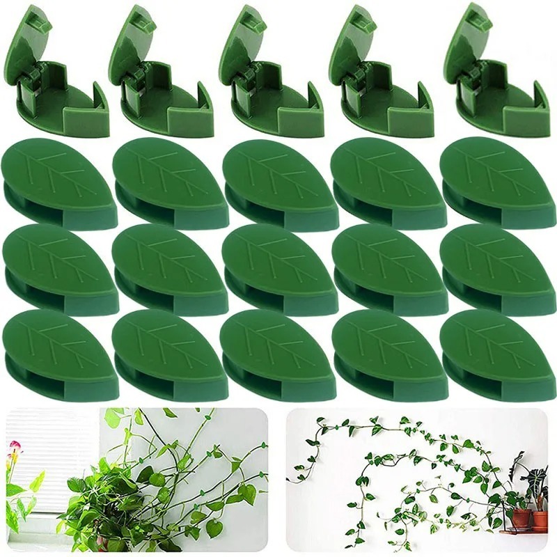 50Pcs Planta Invisível Fixação De Parede Trepadora De Rattan Suporte De Vinha Fixa Fivela Clipes De Folha De Tração Jardim 〽 em Oferta na Shopee