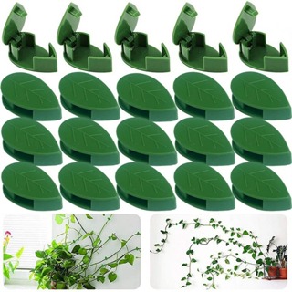 50Pcs Planta Invisível Fixação De Parede Trepadora De Rattan Suporte De Vinha Fixa Fivela Clipes De Folha De Tração Jardim 〽 em Oferta na Shopee