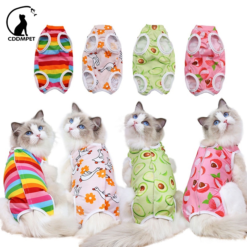 Roupa De Desmame Pós Cirúrgica Para Gato Castração Traje Cuidados Filhotes De Cachorro Colete em Oferta na Shopee