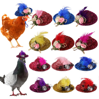 Chapéu De Frango Para Galinhas Pequenos Animais De Estimação Acessórios Engraçados De Galinha Galo Papagaio Hamster Aves Com Estilo Show Costum em Oferta na Shopee