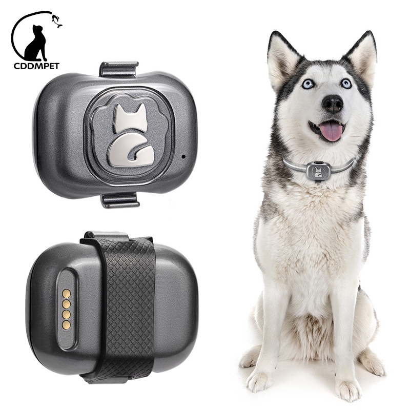 Pet À Prova D'água Gsm Gps Localizador Inteligente De Coleira Cachorro Para Cães Gatos Dispositivo De Rastreamento