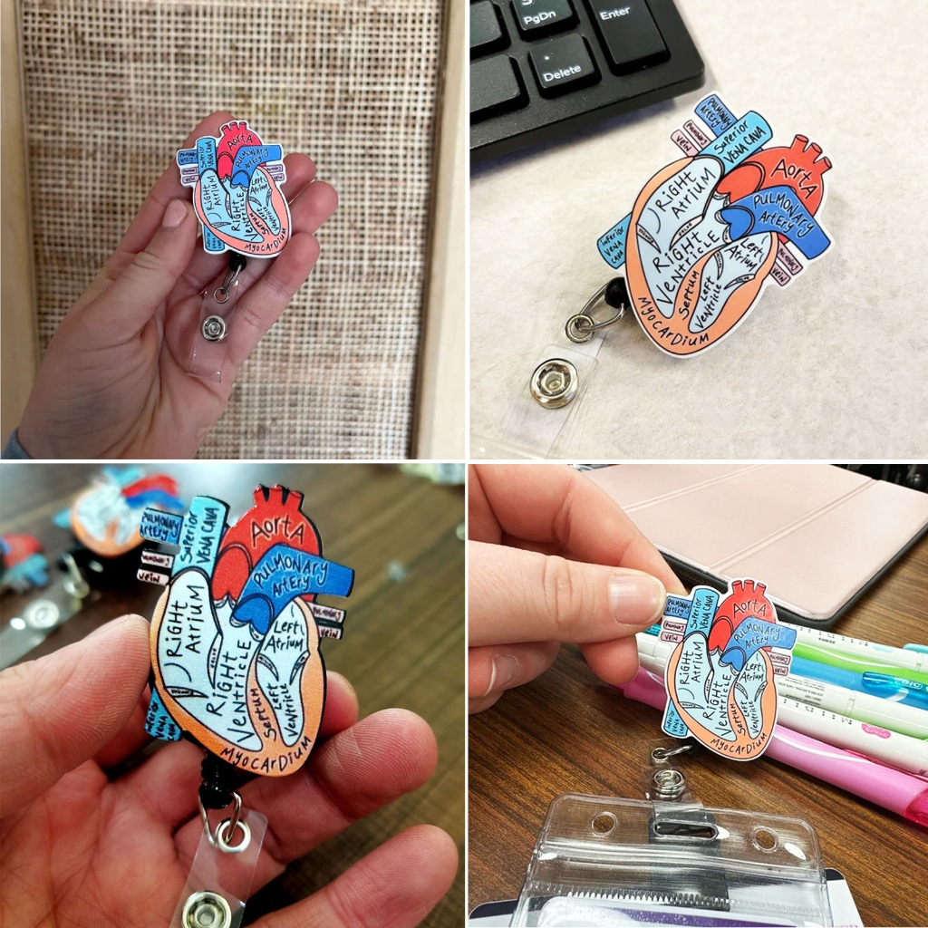 Suporte De Carretéis De Crachá Retrátil Com Clipe De Identificação Para Etiquetas De Nome De Enfermeira Cartão Anatomia