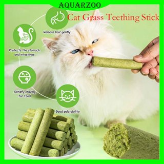 AQUARZOO Palitos De Grama De Gato Para Gatos De Interior Mastigar Cuidados Com Os Dentes A...
