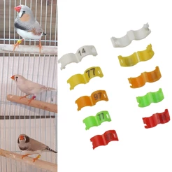 10 Pcs Anel De Clipe De Pássaro 2,7mm 3mm 4mm Anéis De Pé De Plástico Pássaros Coloridos Suprimentos