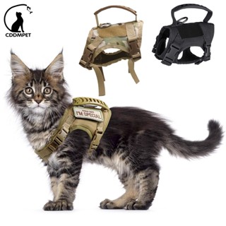 Coleira Peitoral Táticos Para Gatos De Malha Macia Ajustável Cães Pequenos Cachorro com Pegas em Oferta na Shopee