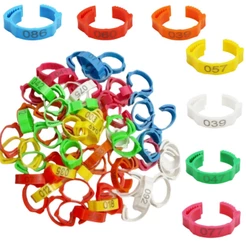 100/50 Pcs Anéis Pé De Frango 7 Cores 2 ~ 2.4 cm Ajustável Poultry Leg Ring Equipamentos Agrícolas