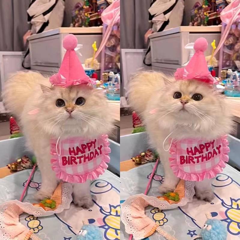 Traje de Aniversário Pet Traje de Aniversário Pet Chapéu de Aniversário Scarf Cat Feliz Aniversário Fato de Aniversário Decoração Chapéu de Aniversário Bib Party Acessórios
