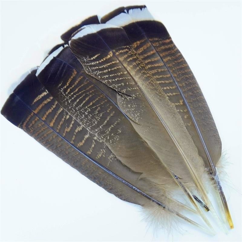 20Pcs/Lot Natural Pluma De Faisão Águia Decoração De Pequenas Penas De Aves De Peru Para Assesoires Diy Carnaval em Oferta na Shopee