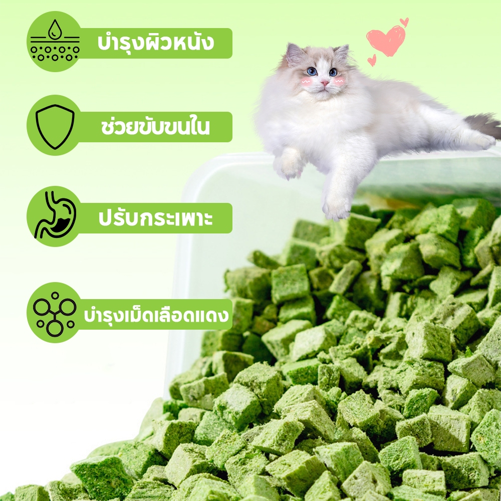 COD🌿หญ้าแมวฟรีซดราย 600 กรัม ผสมอกไก่แท้ โปรตีนสูง ช่วยขับขนในลำคอ ขนมแมว ทานง่าย - ภาพที่ 4