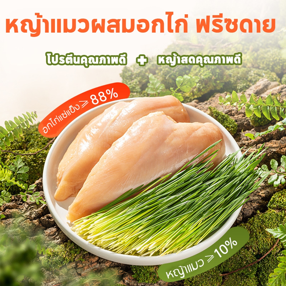 COD🌿หญ้าแมวฟรีซดราย 600 กรัม ผสมอกไก่แท้ โปรตีนสูง ช่วยขับขนในลำคอ ขนมแมว ทานง่าย - ภาพที่ 5