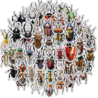 [Adesivo Grande] 50 Peças Adesivos De Insetos De Besouros Para Animais De Estimação Notebooks Papelaria Kscraft Scrapbook Suprimentos Material De Scrapbooking Brinquedo Infantil em Oferta na Shopee